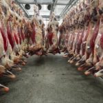 Meatworkers prone to violence, expert says