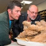 Tim Flannery launches new Flinders palaeo labs