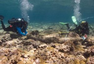 Archaeology students diving on the Royal Charlotte off Queensland small
