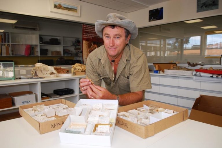 Fossils lead to NZ's 'first' native species – News