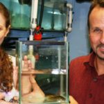 DNA work saves fish from extinction