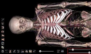 Anatomage table image