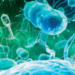 Virus therapy to attack superbugs