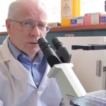 Diabetes research gets under way