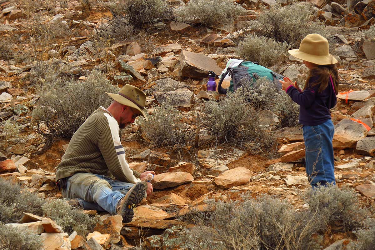 Professor Bradshaw digs for Ediacaran fossils in the Flinders Ranges.