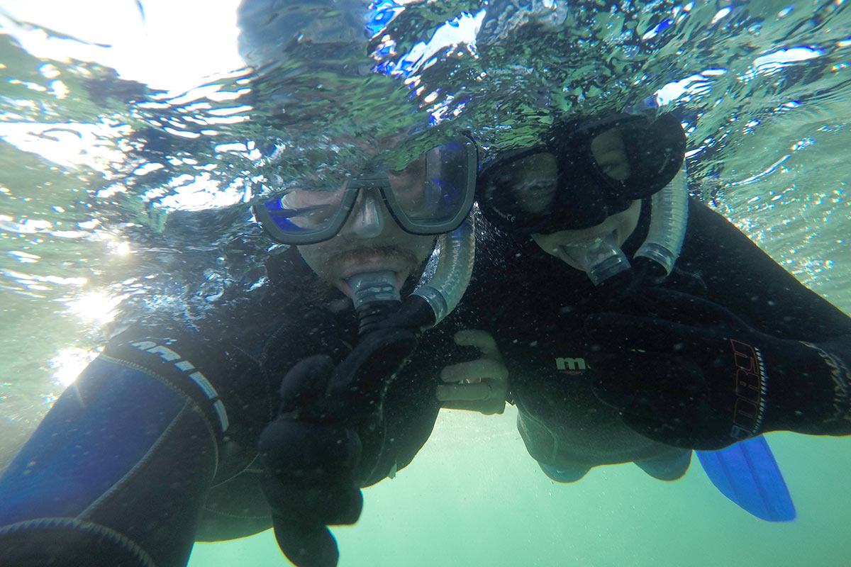 Professor Corey Bradshaw (left) dives into the Spencer Gulf to see giant cuttlefish aggregate in SA waters.