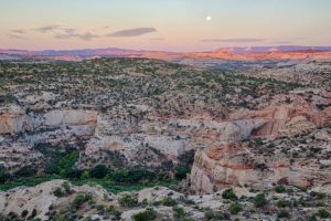 The Grand Staircase-Escalante National Monument is home to a spectacular array of fossil dinosaur specimens. President Bill Clinton designated the area as a national monument in 1996. Photo: Bureau of Land Management.