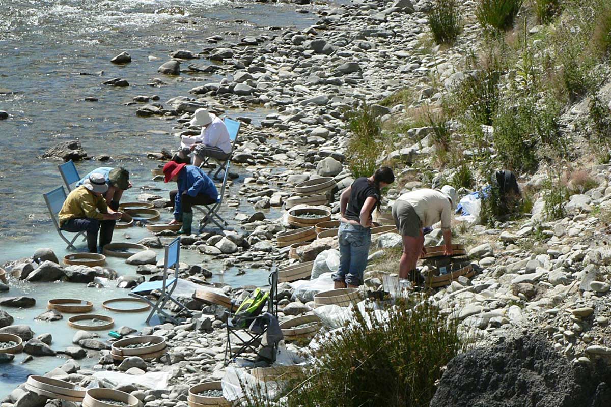 Washing of St Bathans sediments through sieves in Manuherikia River to collect fossil bones and teeth. Credit: Vanesa De Pietri.