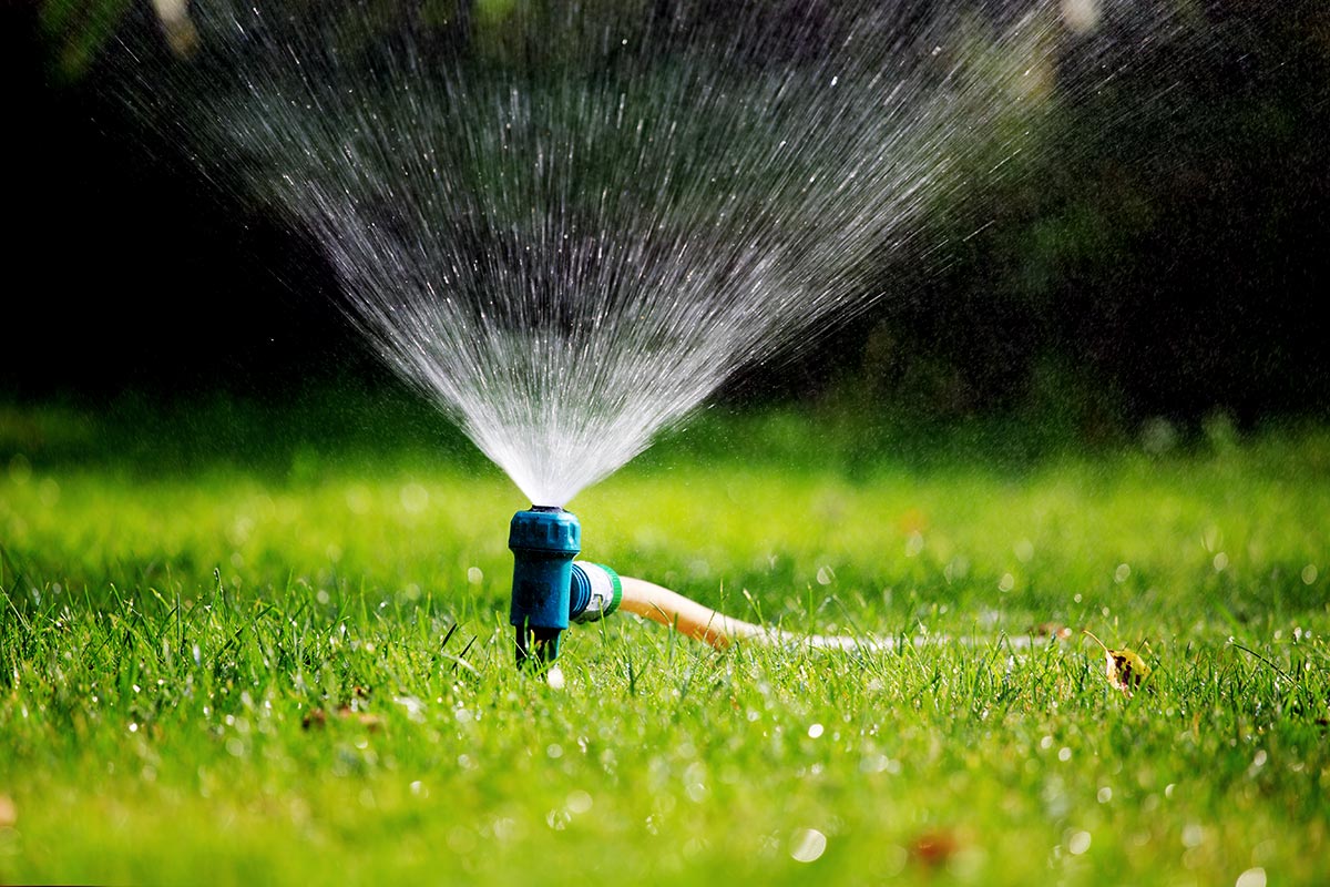 Many Adelaide residents rely on bore water for garden irrigation. Stock photo.