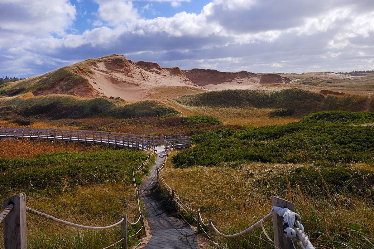 Dune system in Greenwich National Park, Prince Edward Island, Canada. Photo: iStock, Jimfeng.