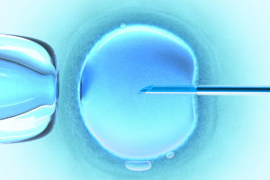 An iStock illustration of IVF fertilisation of an egg under microscope.