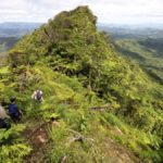 Fiji field work flies out with new species