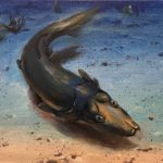 Bizarre ‘platypus fish’ found on Australia’s original reef