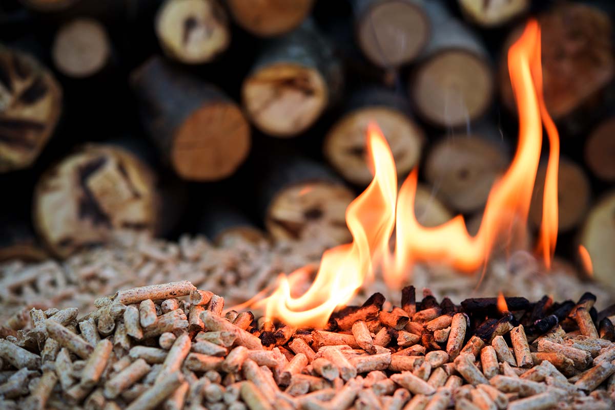 The new criteria would see the burning of wood pellets as fuel classified as a carbon-neutral renewable energy source. Photo: iStock.
