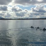 Dolphin research informs marine planning
