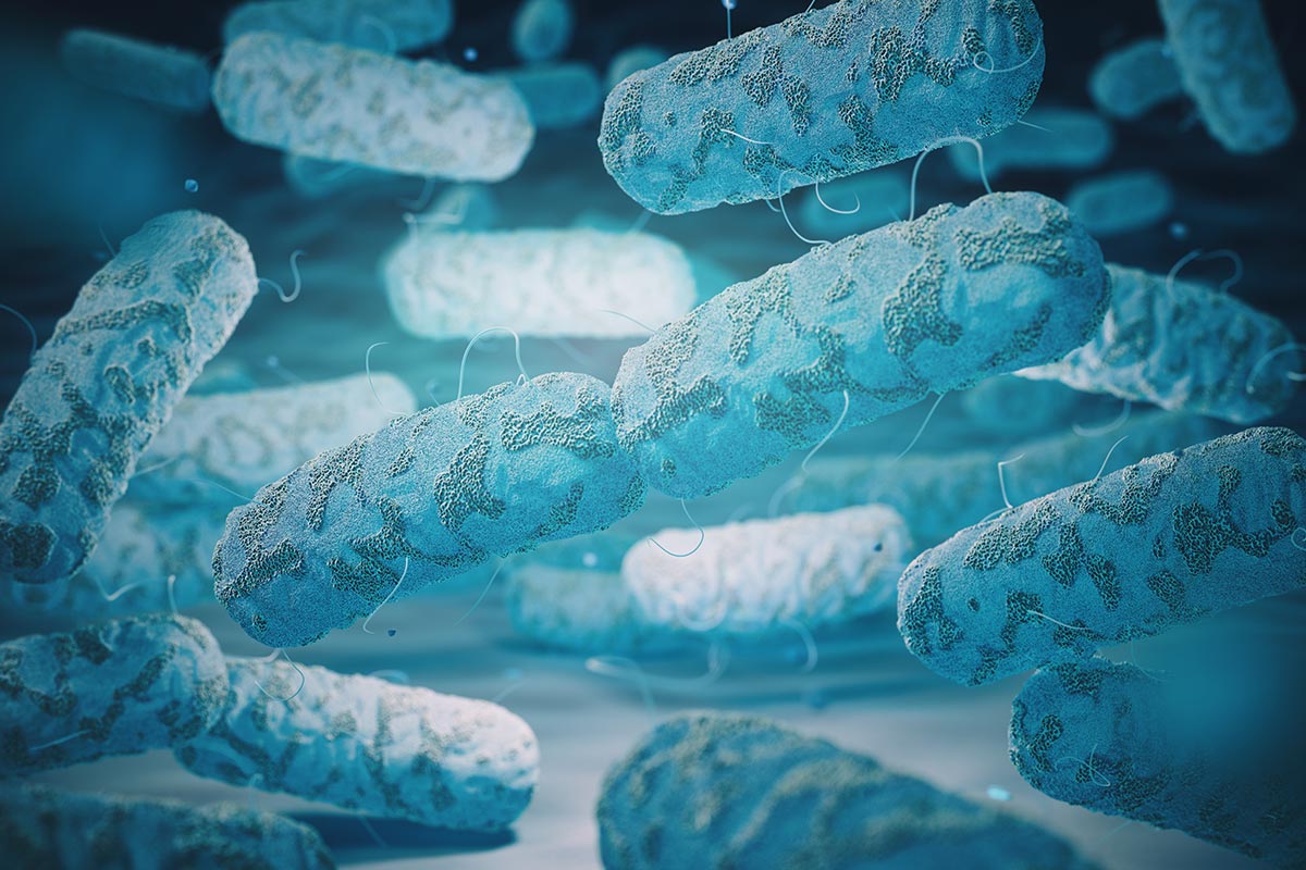 An artist's 3D illustration of a proteobacteria such as Legionella. Illustration: Getty Images.