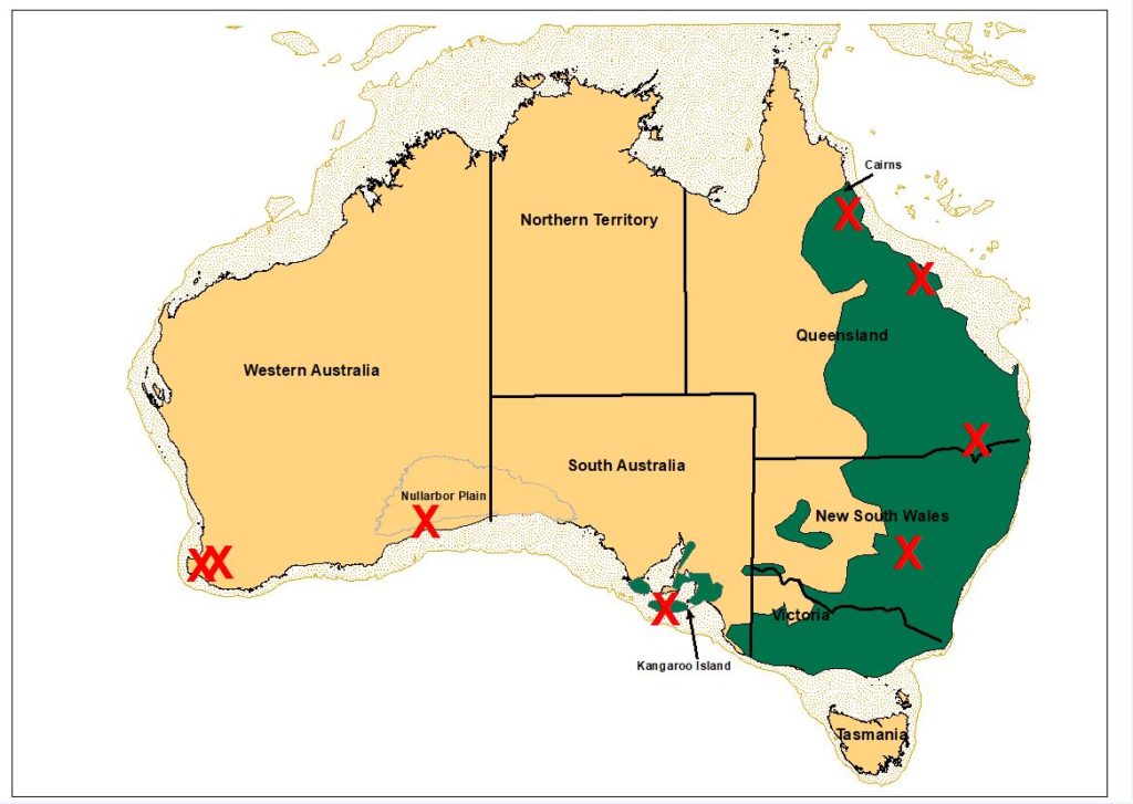 Koalas Hang By A Thread As Forests Shrink News   Koala Research Map Courtesy CABAH 1024x727 