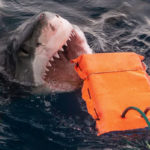 Shark proof wetsuit material could help save lives