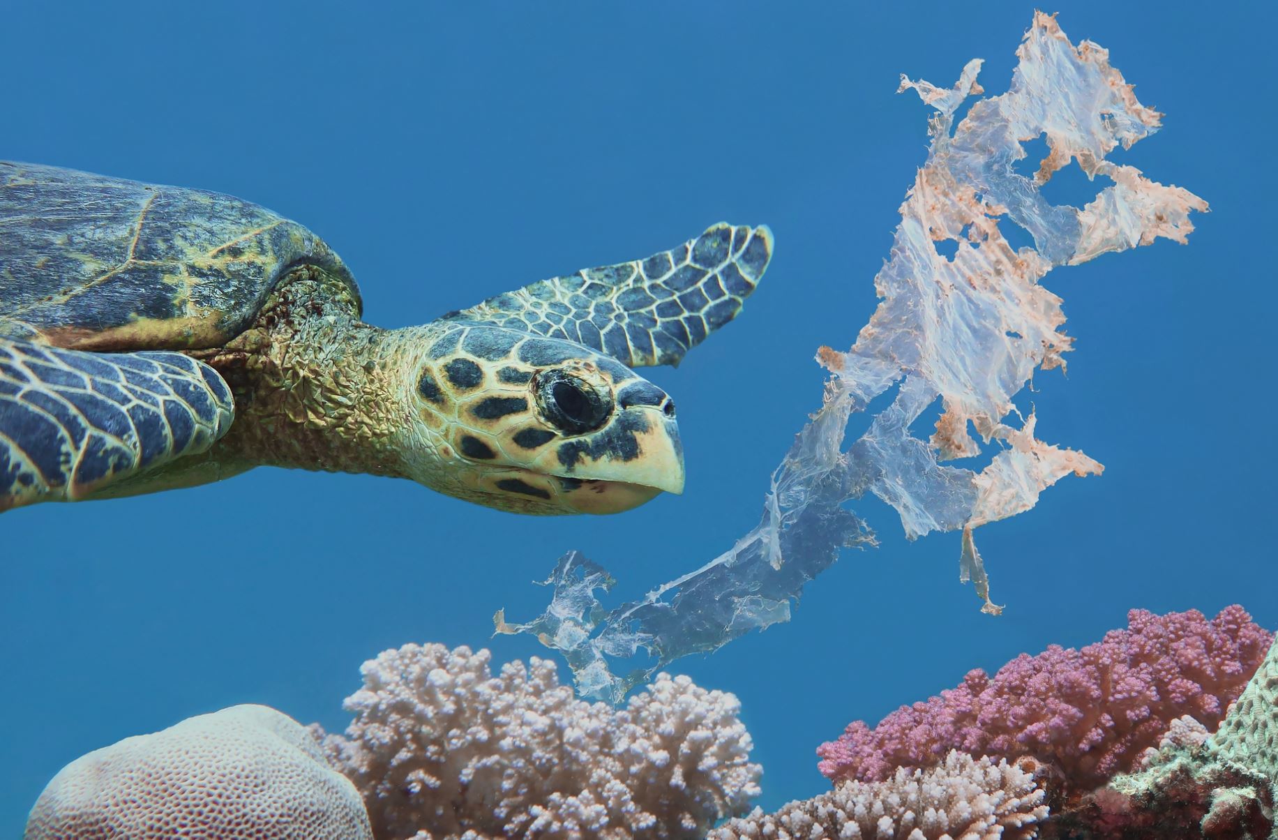 Voyages To Help Solve Plastic Pollution News   Ocean Pollution Getty Images 