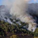 Flinders supports bushfire response and recovery