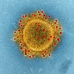 COVID-19, not ‘just a flu’