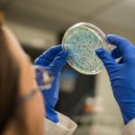 Global chase for microbiome