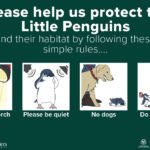 Safety signs help Little Penguin colony