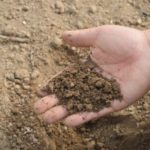 Digging up soil sounds and secrets
