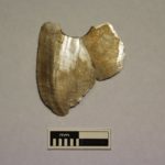 Rare artefacts discovered on the Murray River