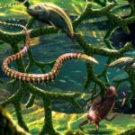 New study revises fossil discovery