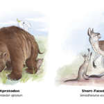 Extinct megafauna prone to ‘hunger games’