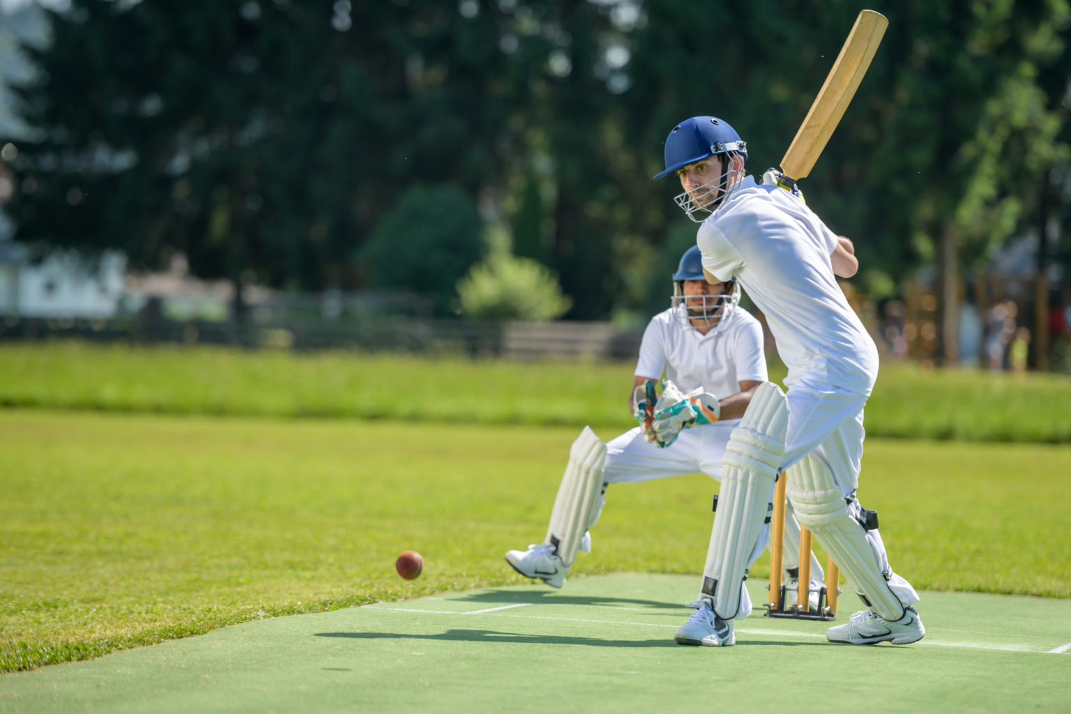 выпишите групповые виды спорта cycling cricket фото 61