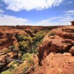 Contrasting rates of survival for GI cancers in NT