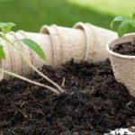Soil biodiversity link to human health