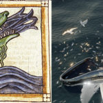 Mysterious new behaviour seen in whales may be recorded in ancient manuscripts
