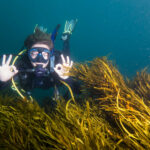 Deep dive into seaweed aquaculture