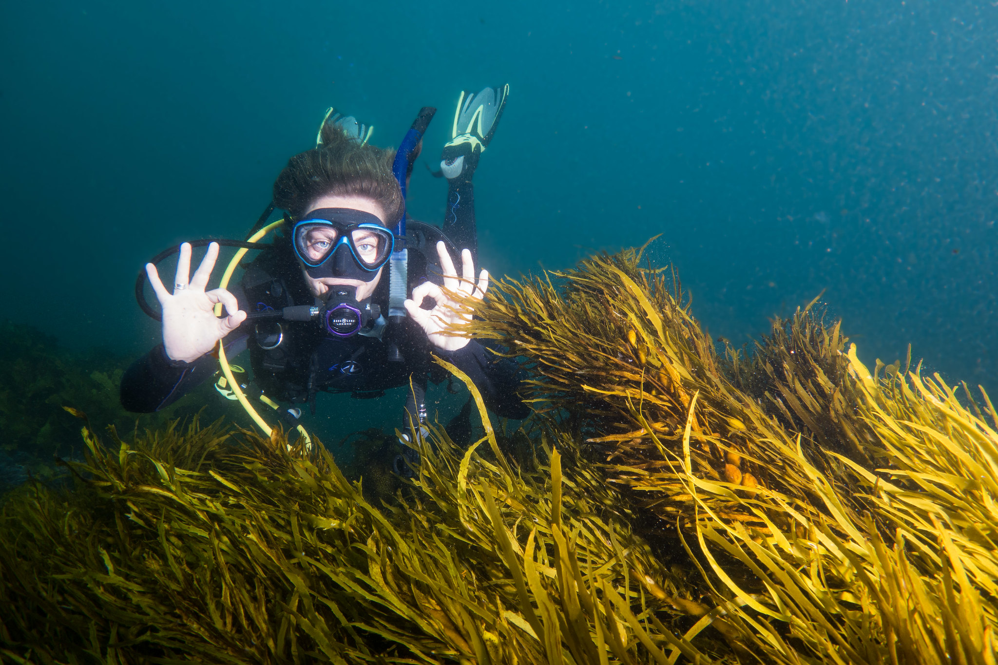 Deep dive into seaweed aquaculture