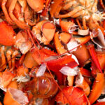 Profitable by-products from shellfish waste