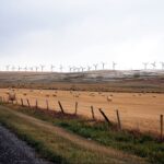 Wind farm noise exposure doesn’t wake people up more than road traffic
